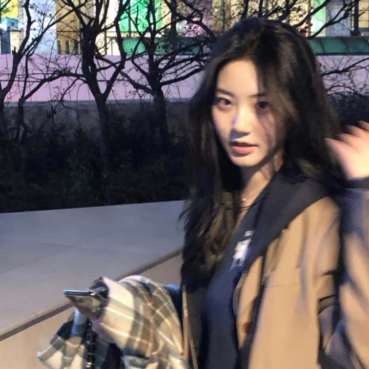 孤狼救援